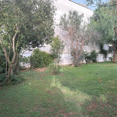 Villa Teresa Maria Porto Cesareo Exterior photo